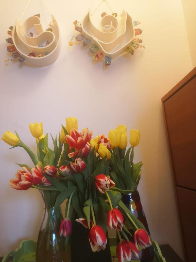 Apartments M&R Spadina Водице Екстер'єр фото